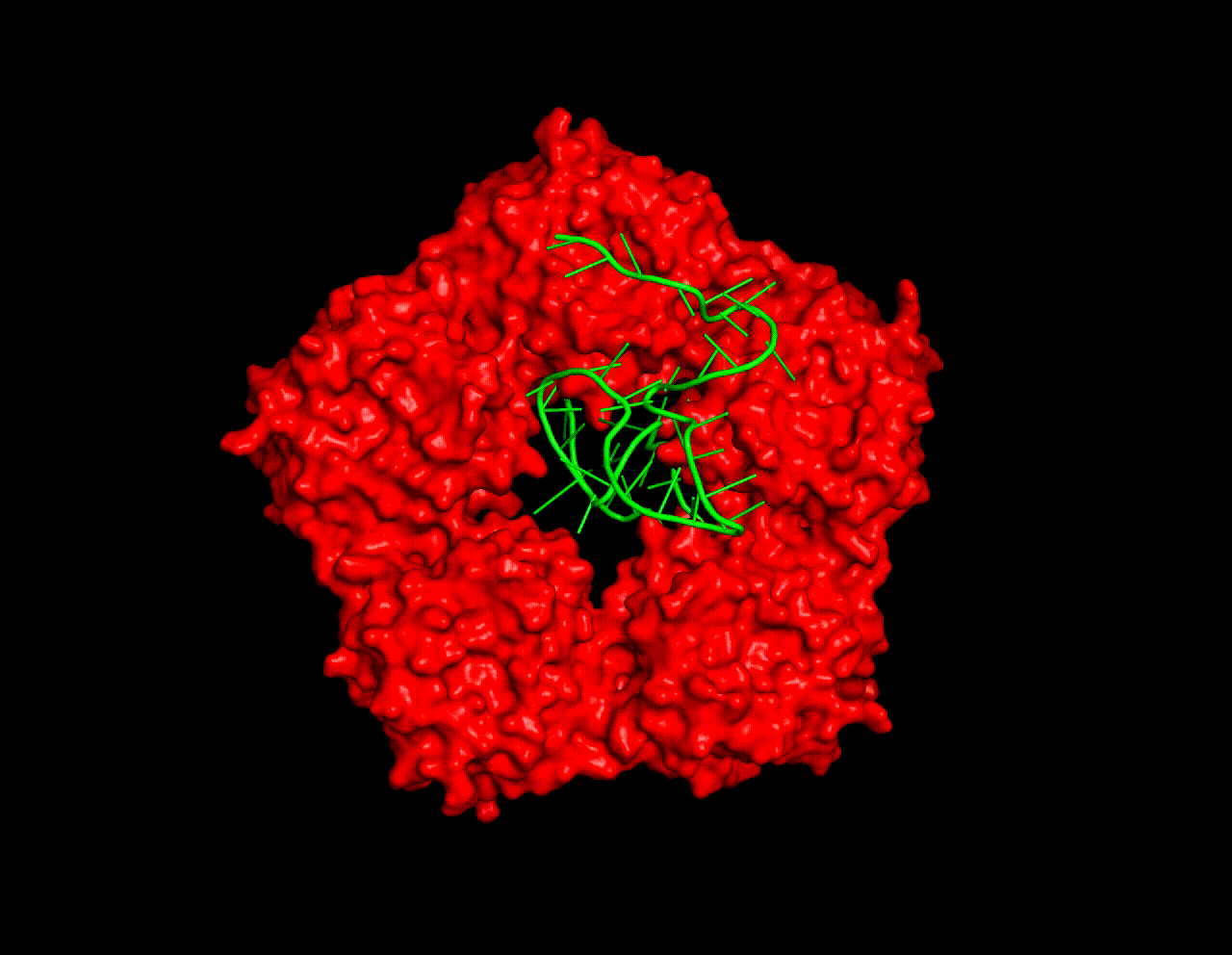 Protected structural preview of Anti-CRP Aptamer
